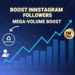 BOOST INSTAGRAM FOLLOWERS